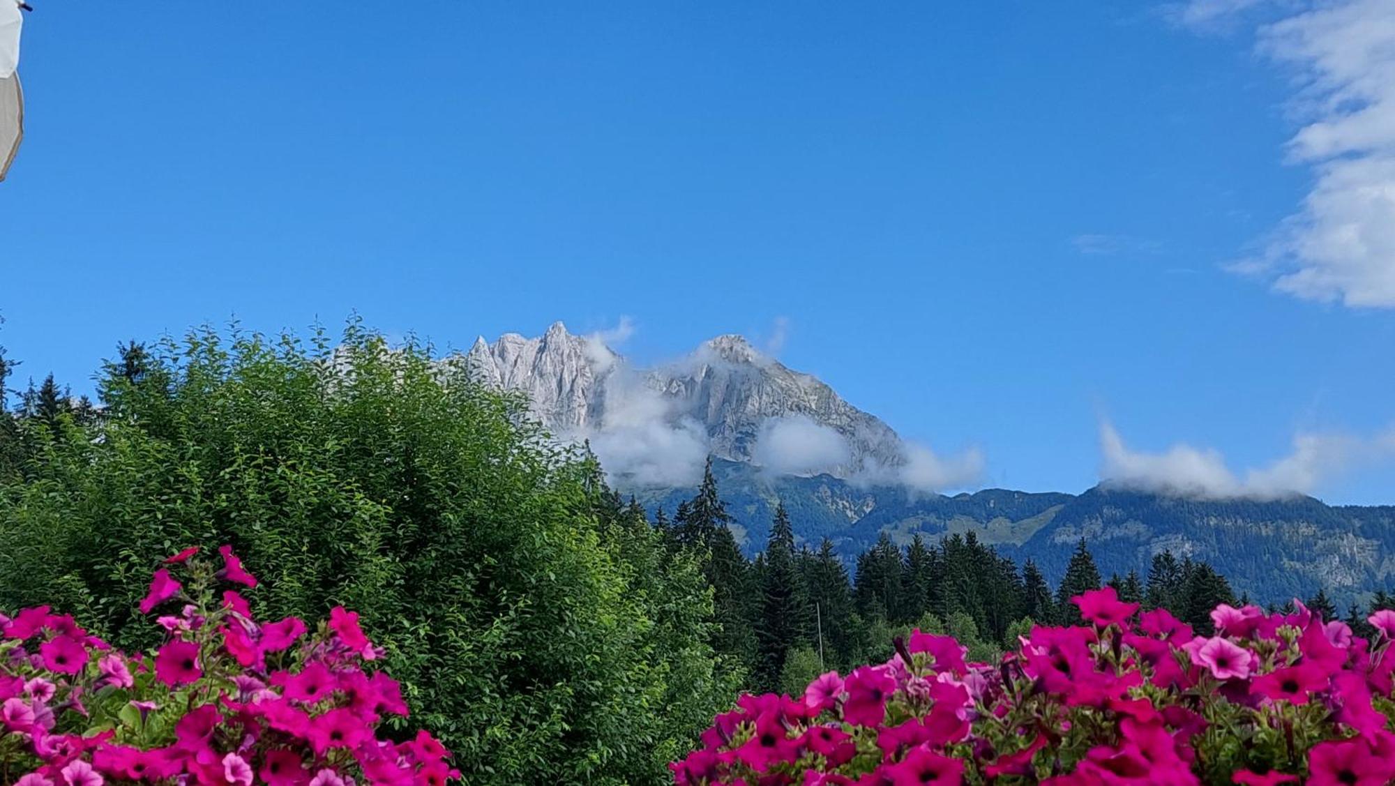 Gartenhotel Rosenhof Bei Kitzbuehel Oberndorf in Tirol Dış mekan fotoğraf